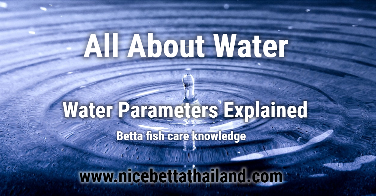 All about water for your betta fish.