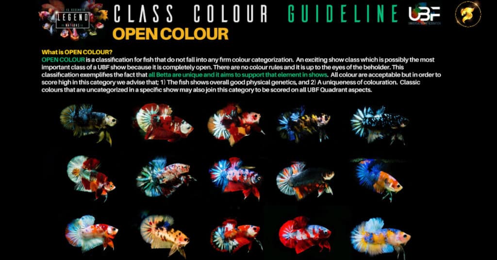 CLASS COLOR GUIDELINE OPEN COLOR COMPETITION