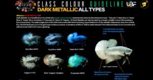 Class Color Guideline Dark Metallic all types