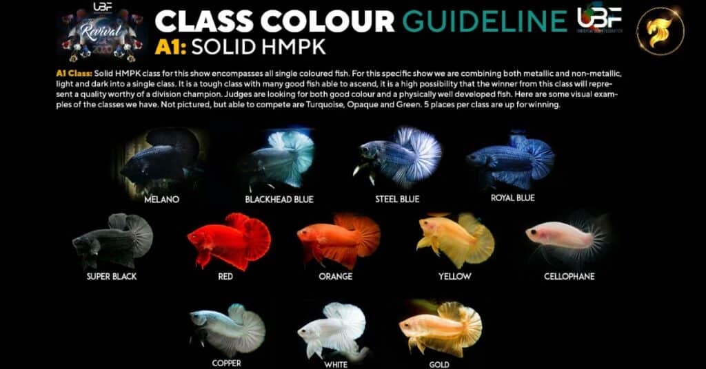 Betta Color Chart