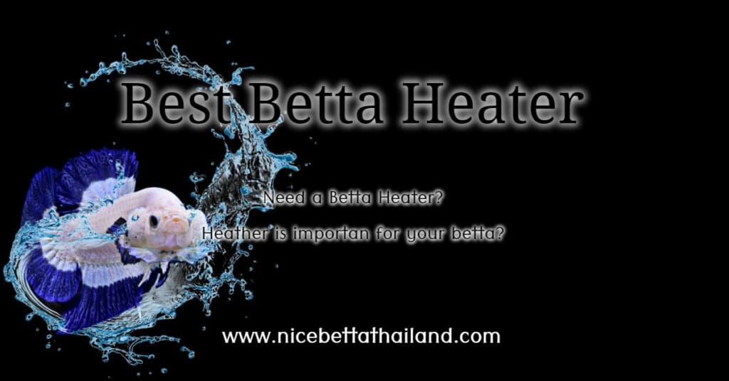 Best Betta fish tank heater