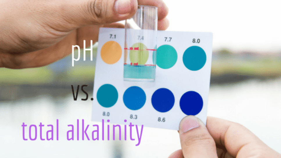 Alkalinity vs. pH