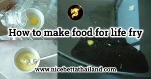 How to make food for life fry
