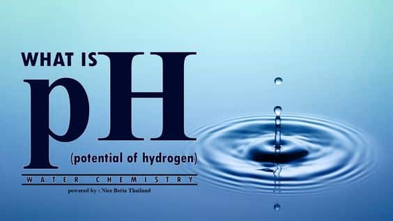 Total Alkalinity vs. pH, and their role in water chemistry