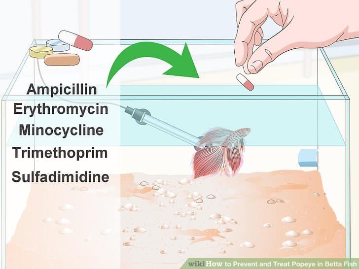 Treating Popeye step3