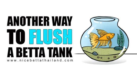 Another Way To Flush A Tank