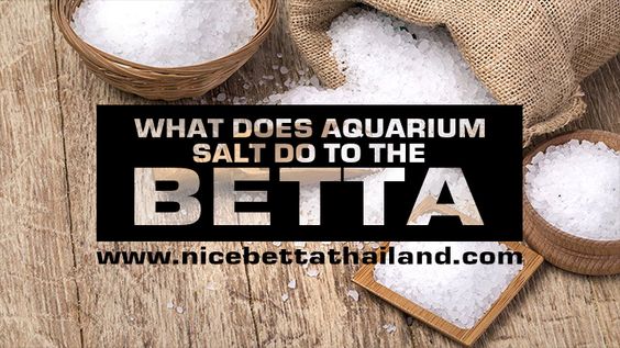 How Good And Bad Is Aquarium Salt For Betta Fish