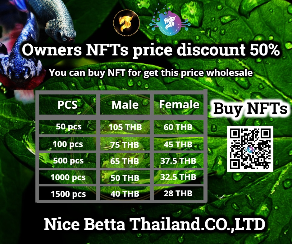 Owners NFTs price discount