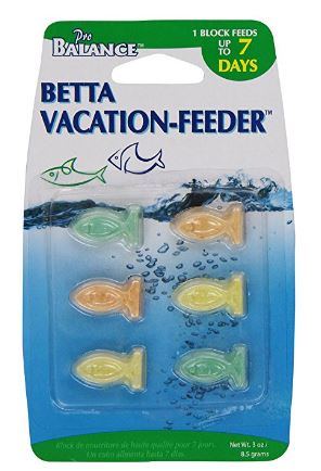 vacation betta block