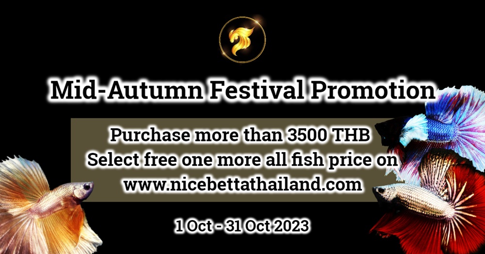 Mid-Autumn Festival Promotion