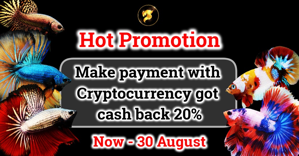 Hot promotion Make payment with Cryptocurrency got cash back 20%