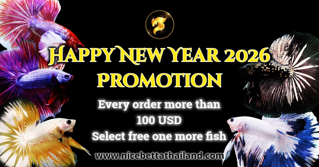 Happy New Year 2026 Promotion