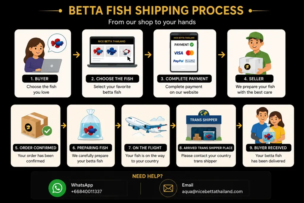 Betta Fish Shipping Process